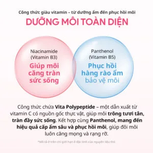 Dầu Dưỡng Môi hince Vita Barrier Nourishing Lip Oil - Ảnh 7
