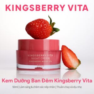 hince Kingsberry Vita Night Cream - Ảnh 2