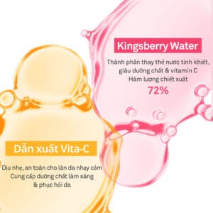 hince Kingsberry Vita Night Cream - Ảnh 5