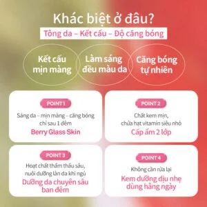 hince Kingsberry Vita Night Cream - Ảnh 7