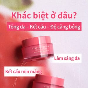hince Kingsberry Vita Night Cream - Ảnh 12